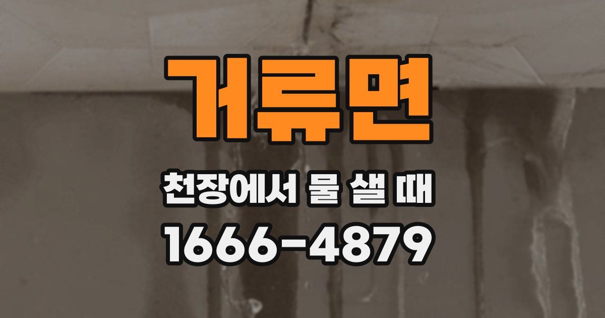 거류면 천장에서 물 샐 때