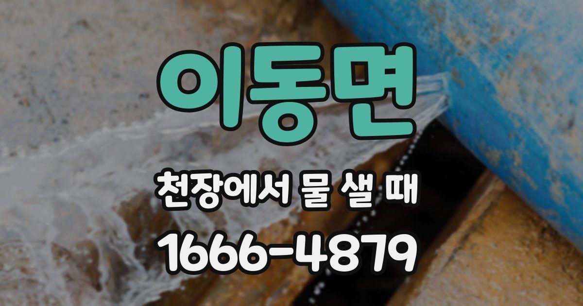 이동면 천장에서 물 샐 때