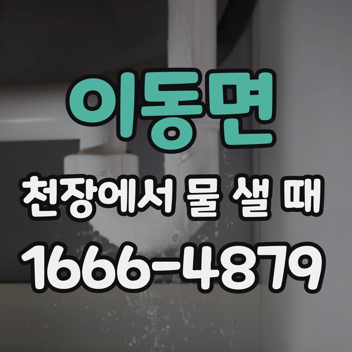 이동면 천장에서 물 샐 때