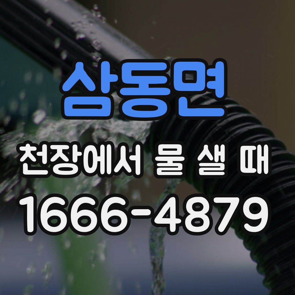 삼동면 천장에서 물 샐 때