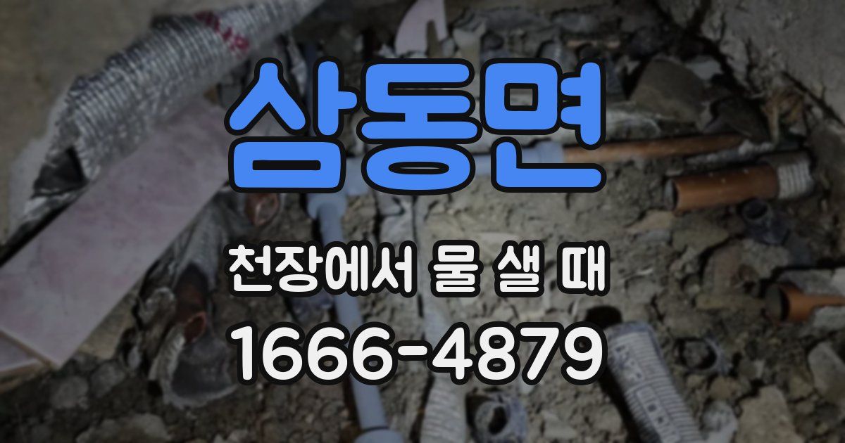 삼동면 천장에서 물 샐 때