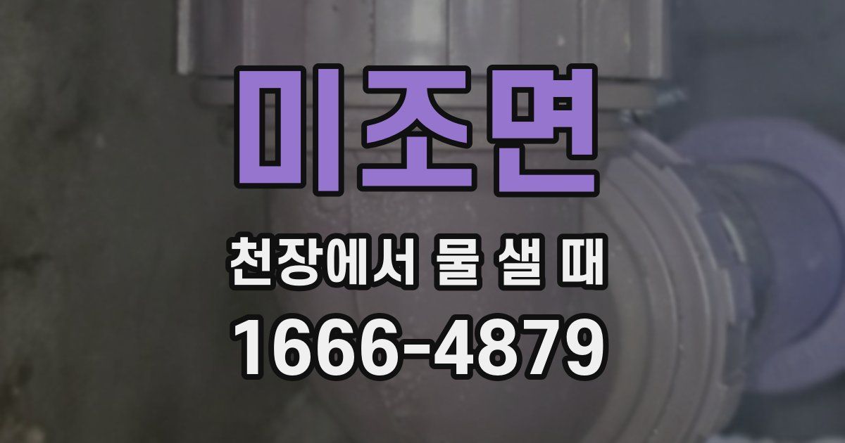 미조면 천장에서 물 샐 때