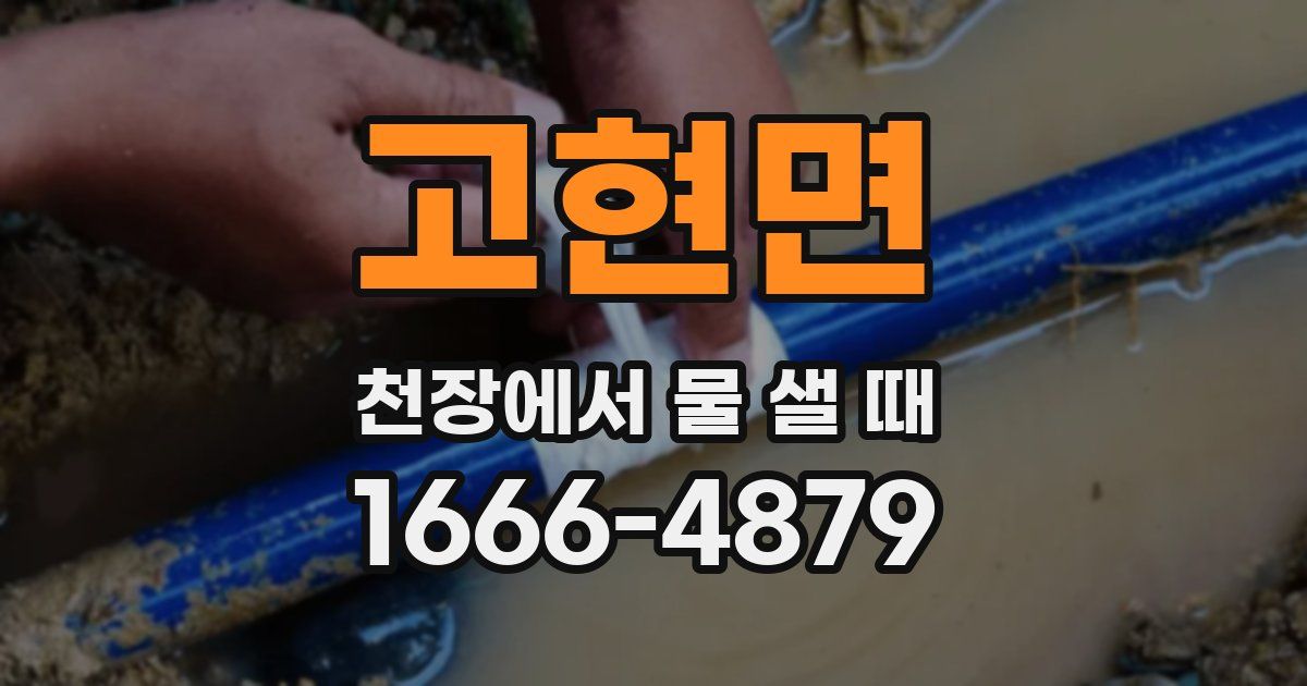 고현면 천장에서 물 샐 때
