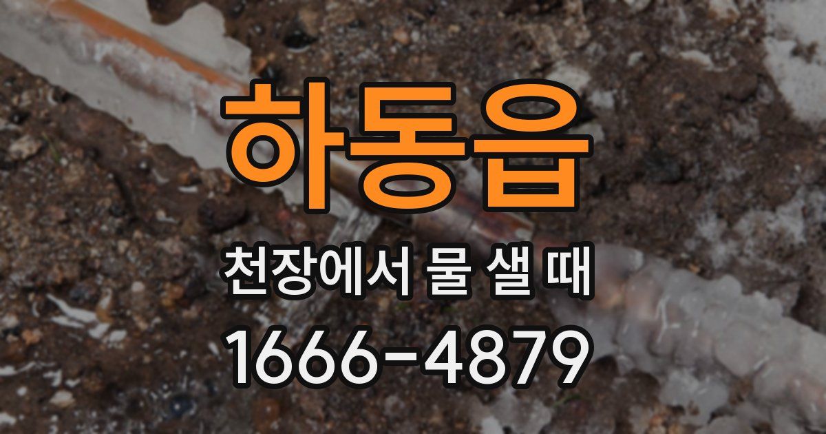 하동읍 천장에서 물 샐 때