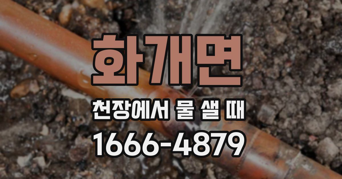 화개면 천장에서 물 샐 때