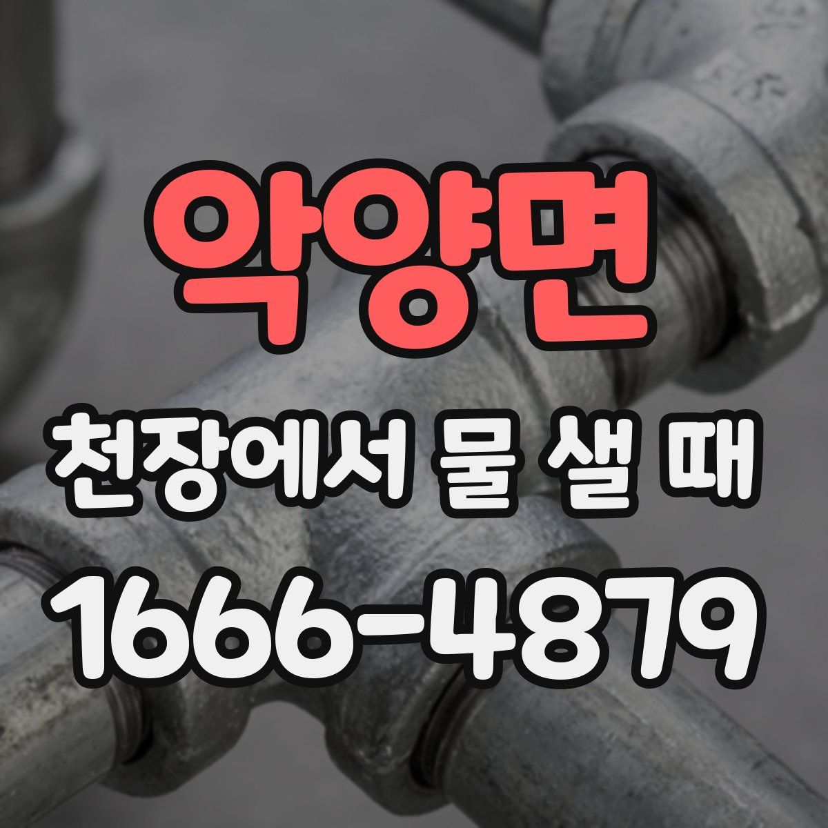 악양면 천장에서 물 샐 때