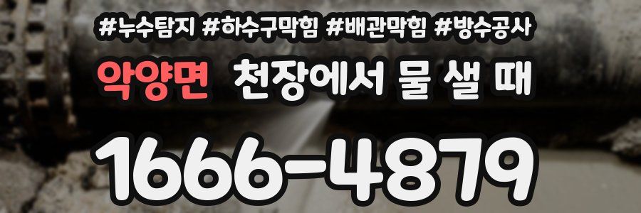 악양면 천장에서 물 샐 때