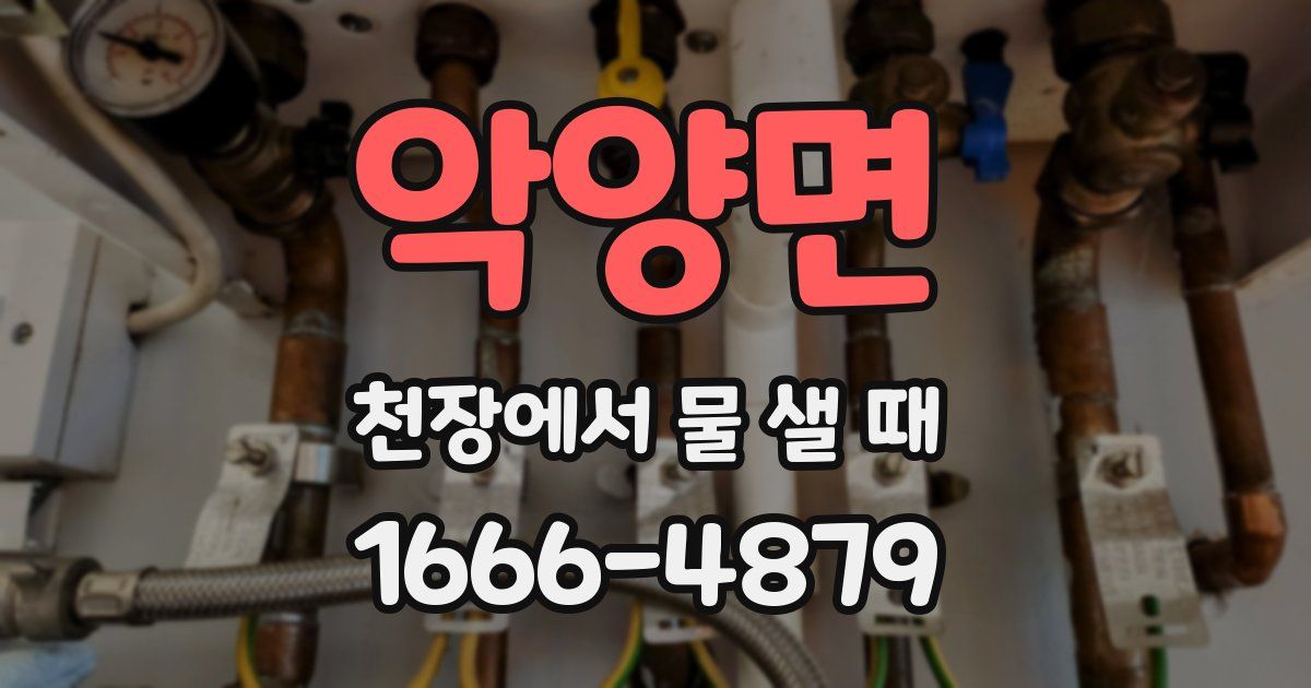 악양면 천장에서 물 샐 때