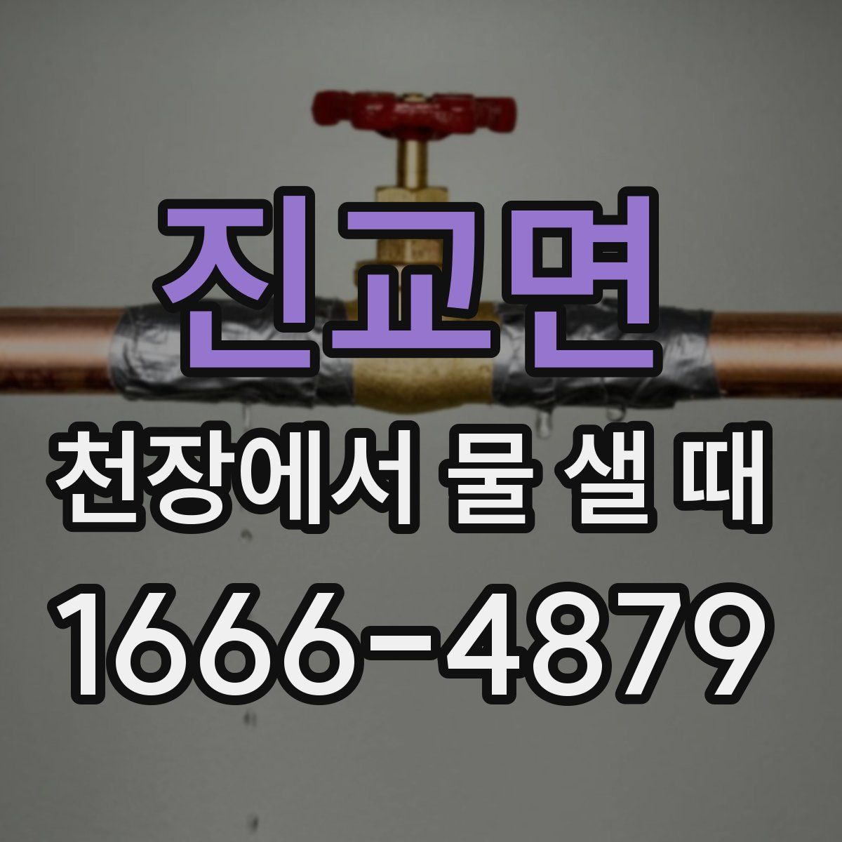 진교면 천장에서 물 샐 때