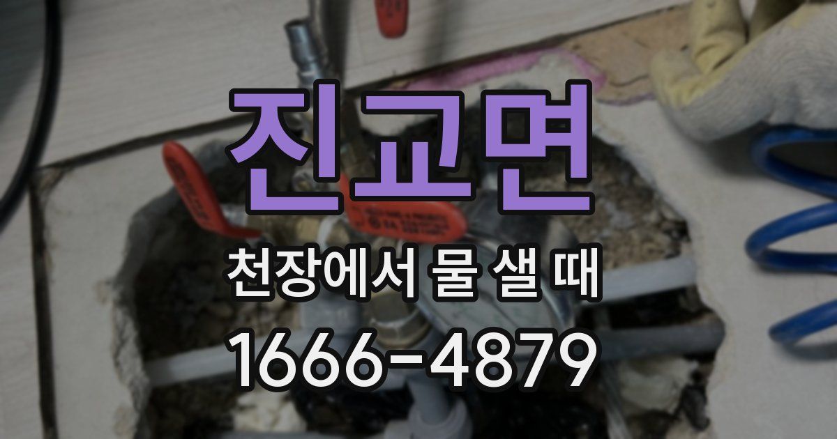 진교면 천장에서 물 샐 때