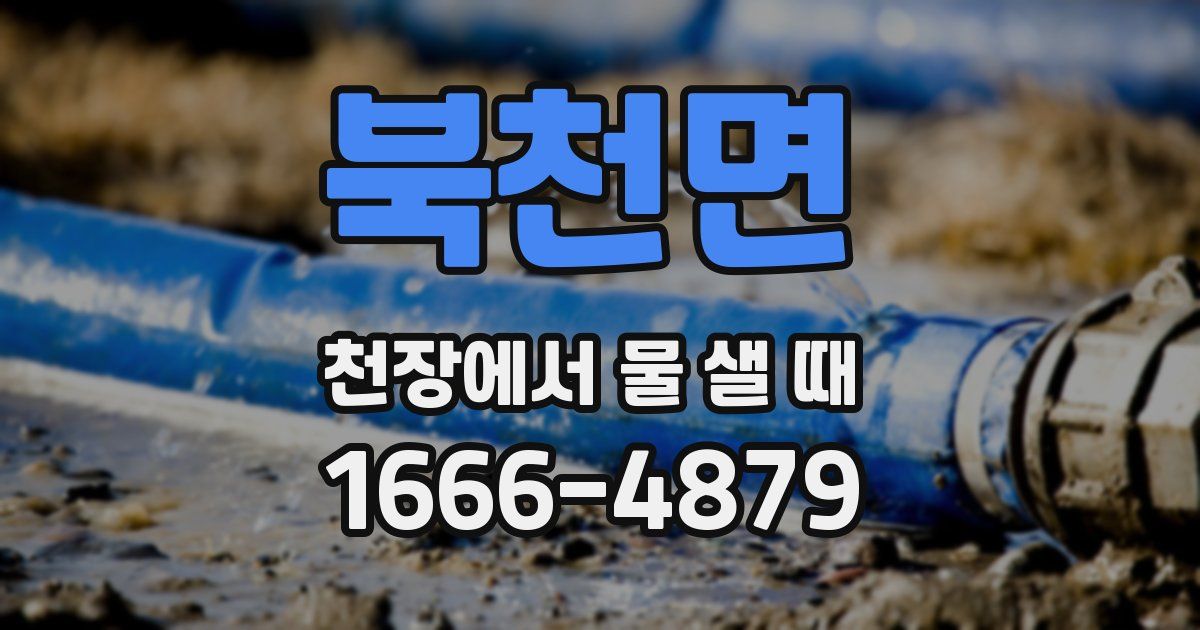 북천면 천장에서 물 샐 때