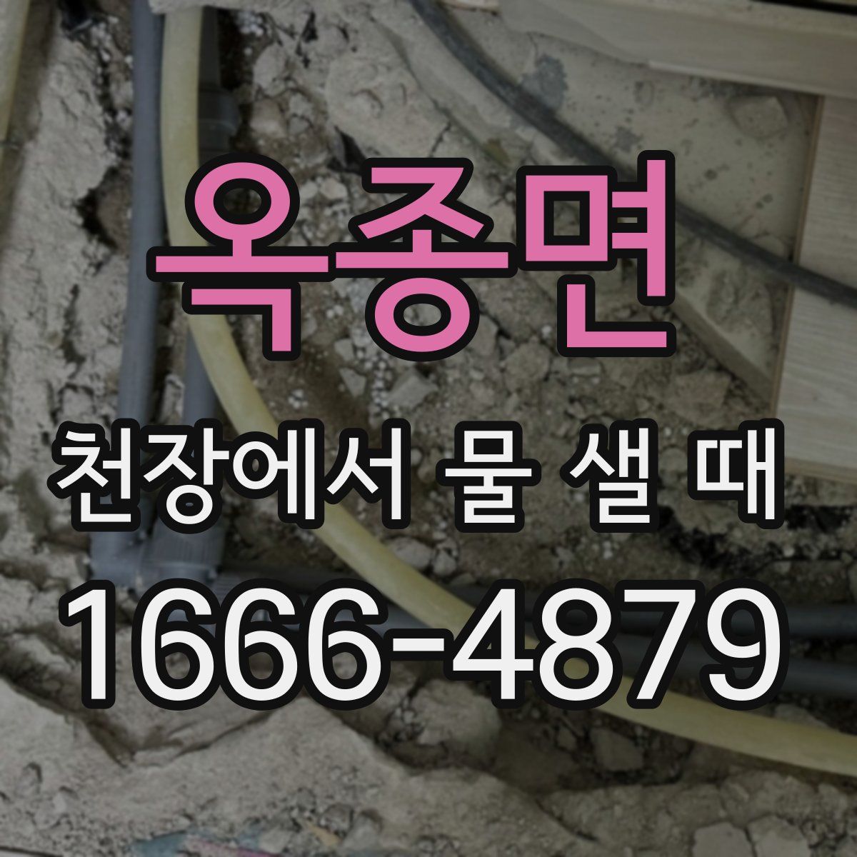 옥종면 천장에서 물 샐 때
