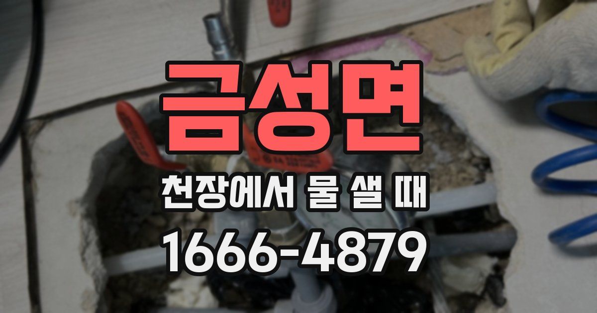 금성면 천장에서 물 샐 때