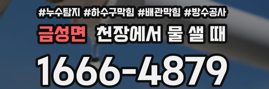 금성면 천장에서 물 샐 때