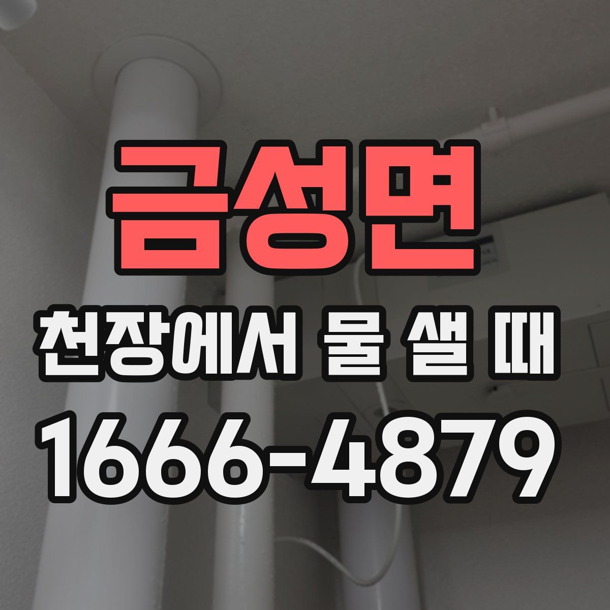금성면 천장에서 물 샐 때