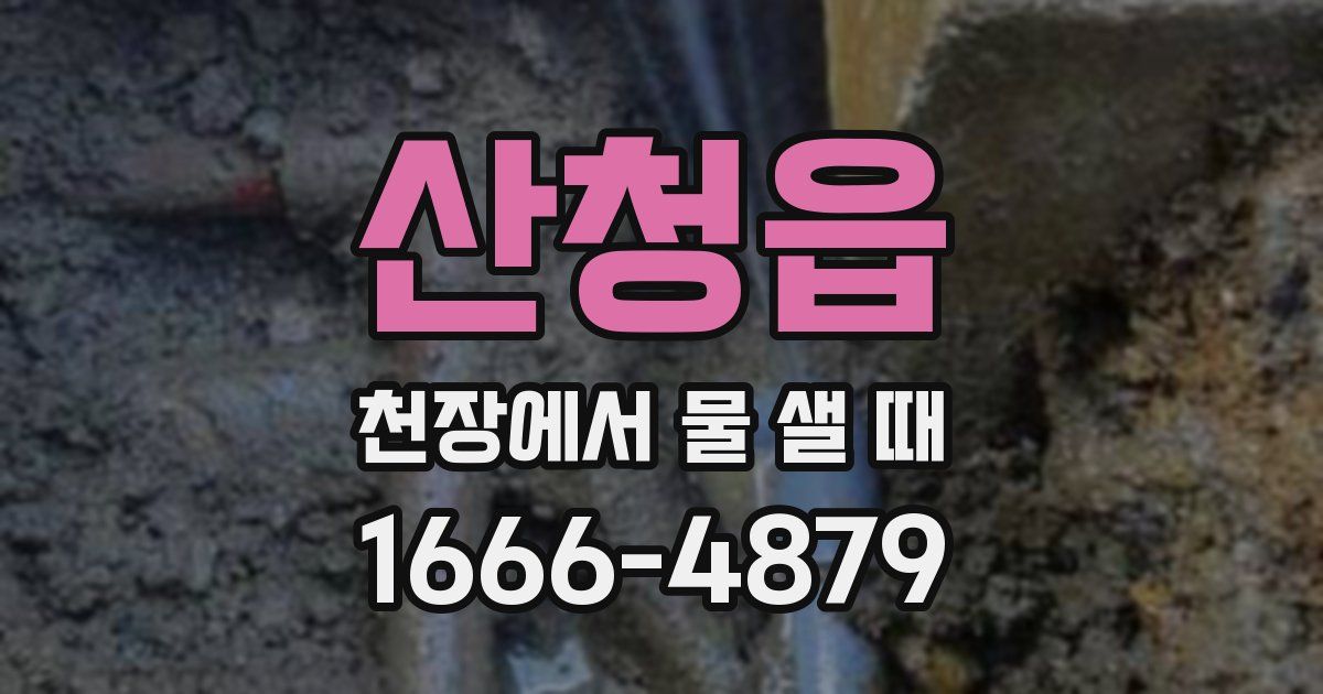 산청읍 천장에서 물 샐 때