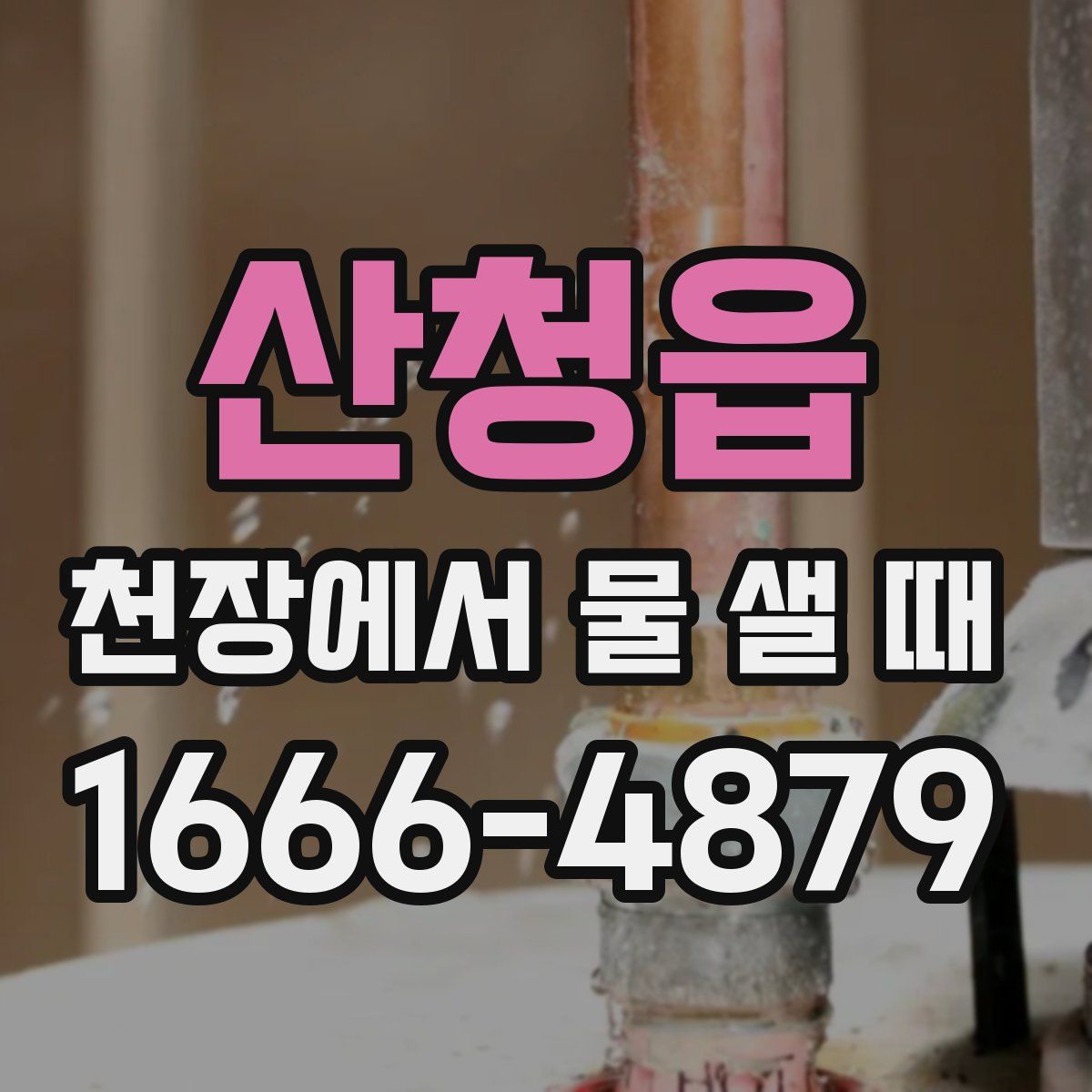 산청읍 천장에서 물 샐 때