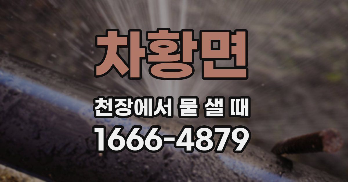 차황면 천장에서 물 샐 때