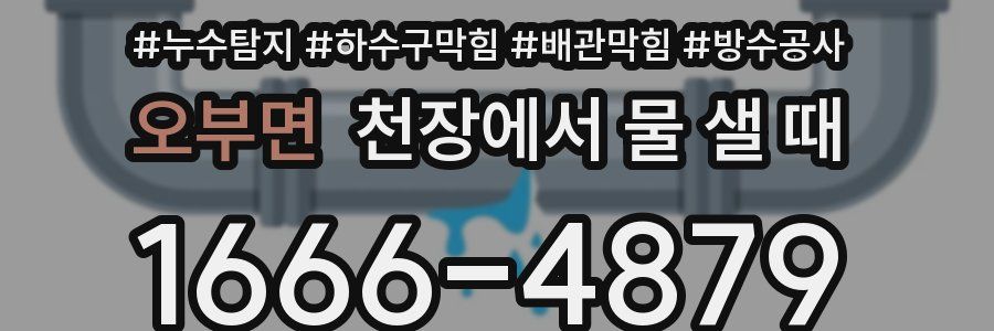 오부면 천장에서 물 샐 때