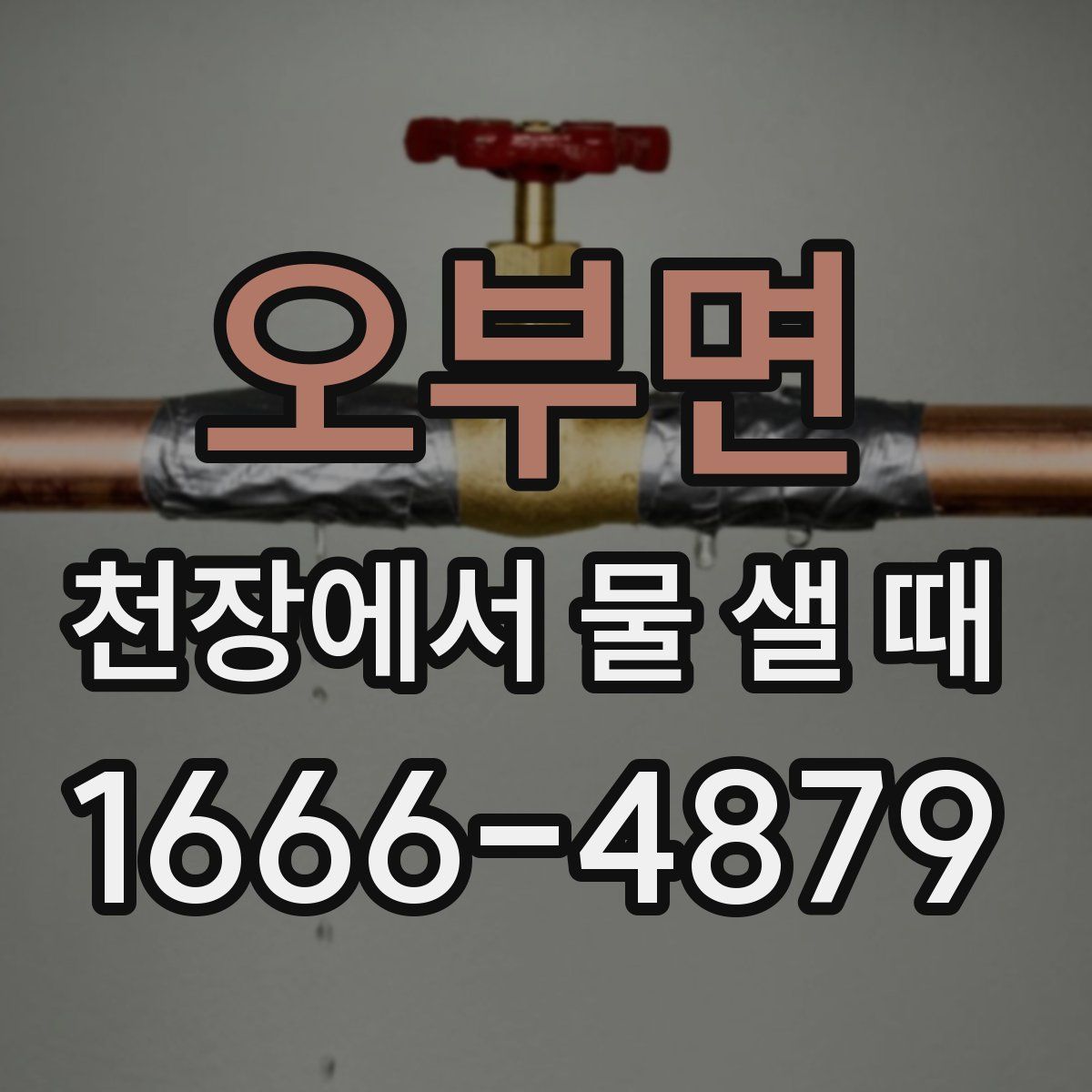 오부면 천장에서 물 샐 때