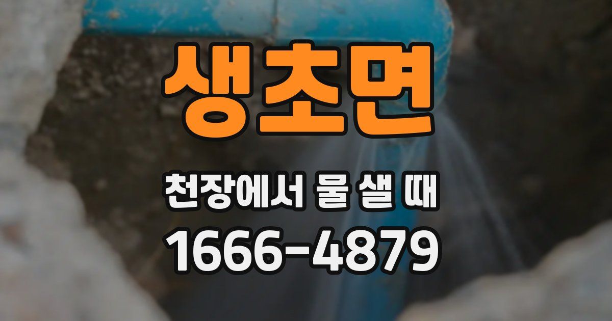 생초면 천장에서 물 샐 때
