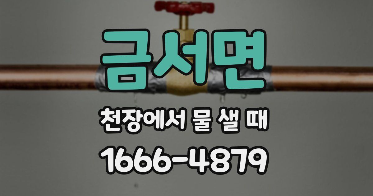 금서면 천장에서 물 샐 때