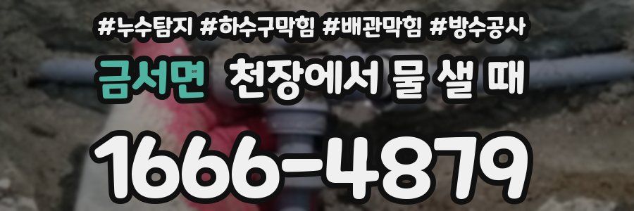 금서면 천장에서 물 샐 때