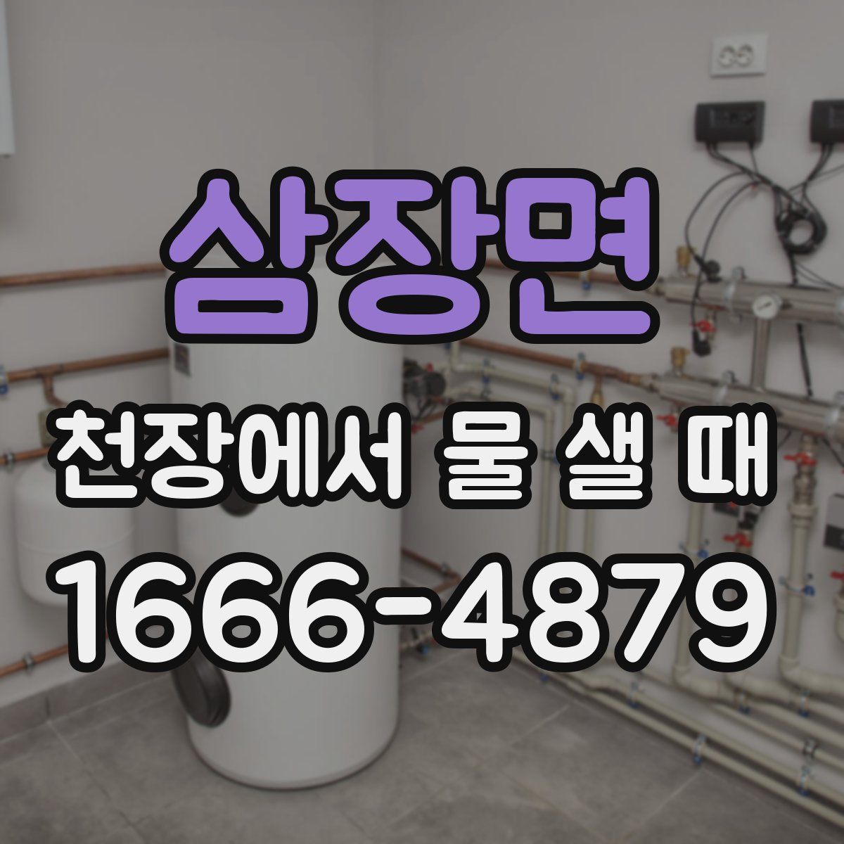 삼장면 천장에서 물 샐 때