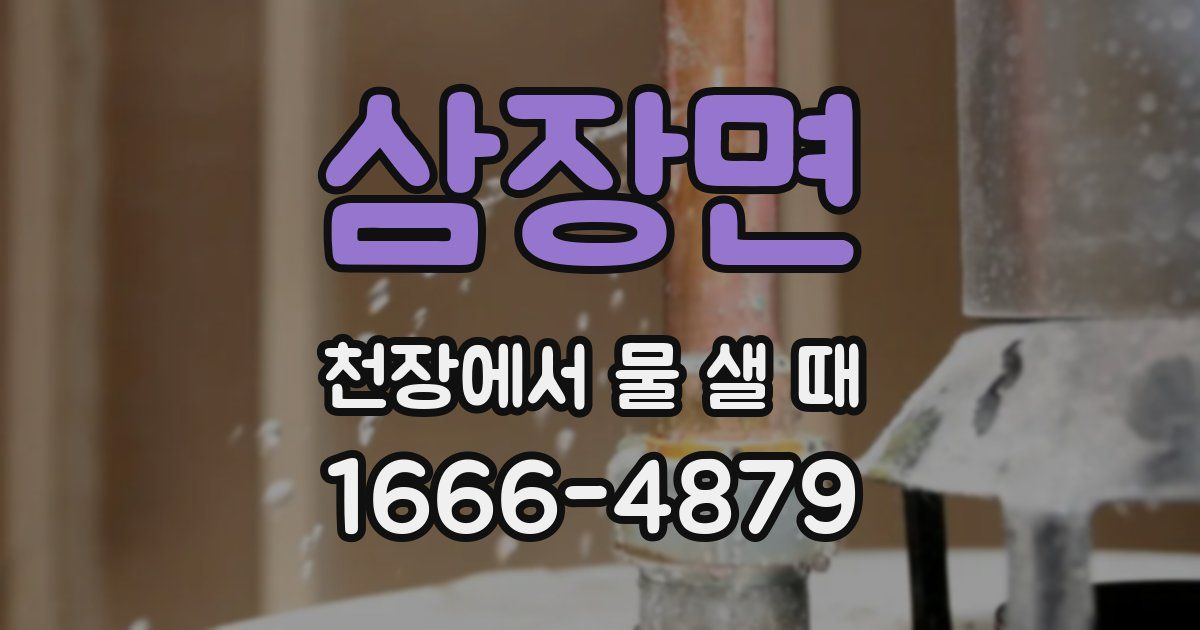 삼장면 천장에서 물 샐 때