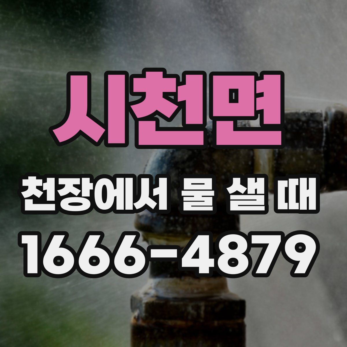 시천면 천장에서 물 샐 때