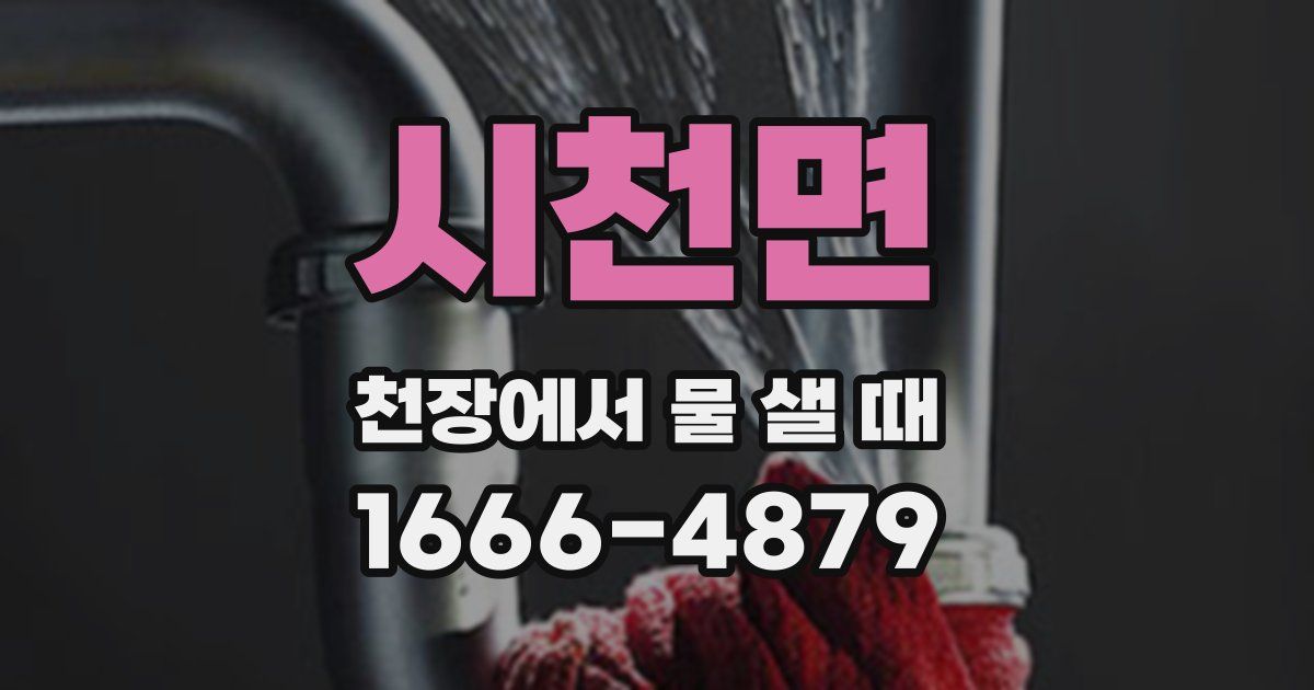 시천면 천장에서 물 샐 때