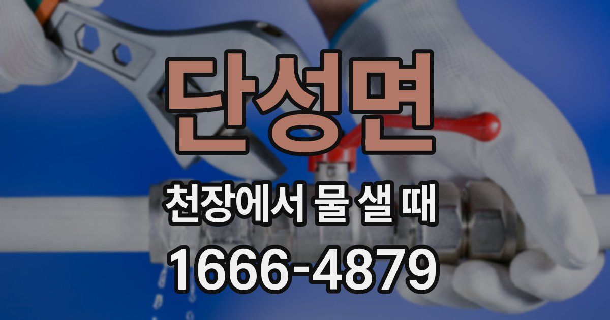 단성면 천장에서 물 샐 때