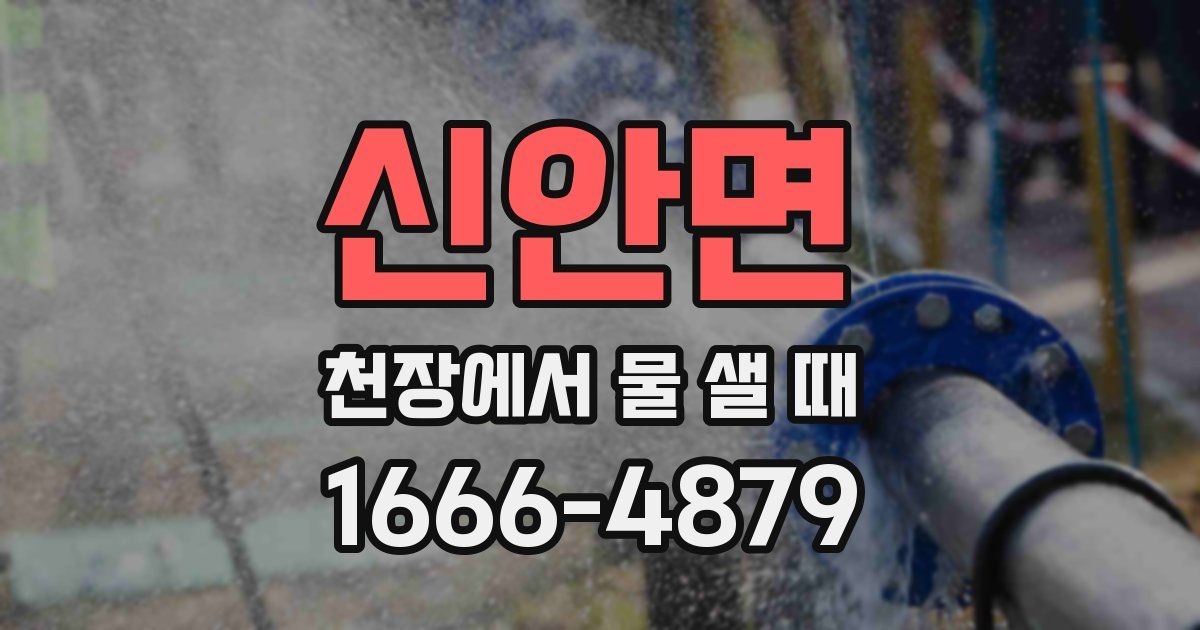 신안면 천장에서 물 샐 때