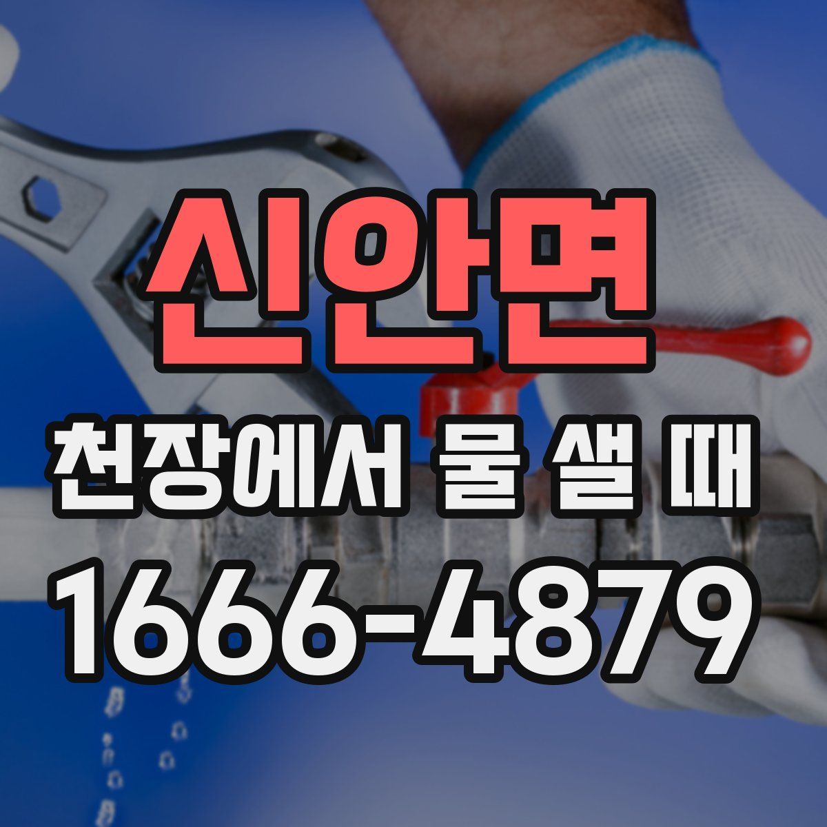 신안면 천장에서 물 샐 때
