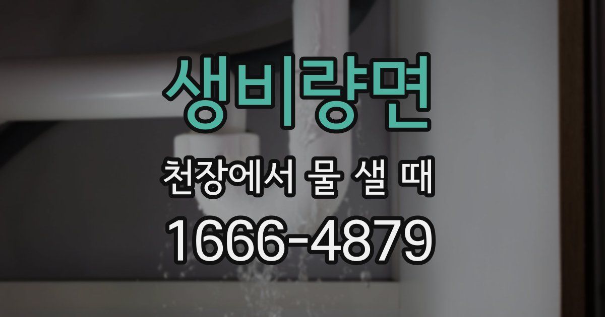 생비량면 천장에서 물 샐 때