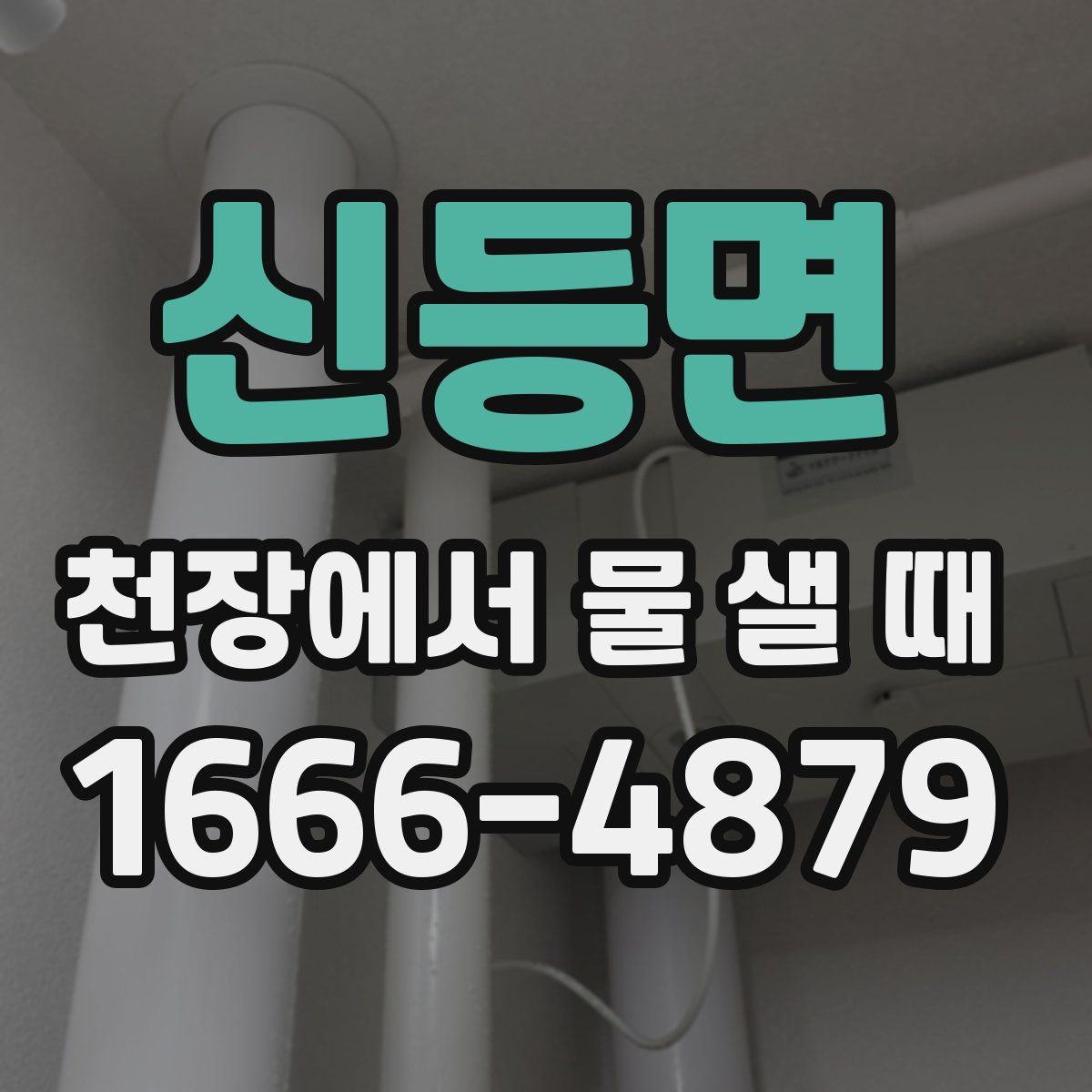 신등면 천장에서 물 샐 때