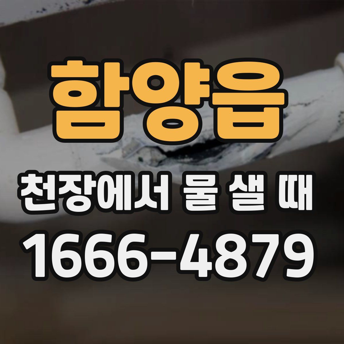함양읍 천장에서 물 샐 때
