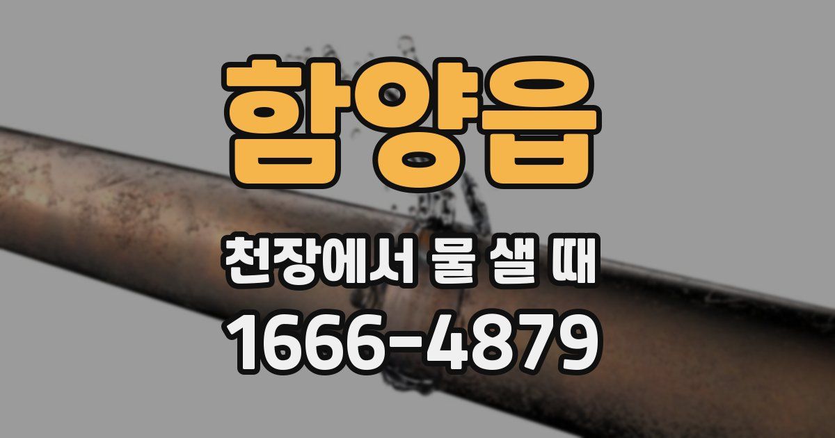 함양읍 천장에서 물 샐 때