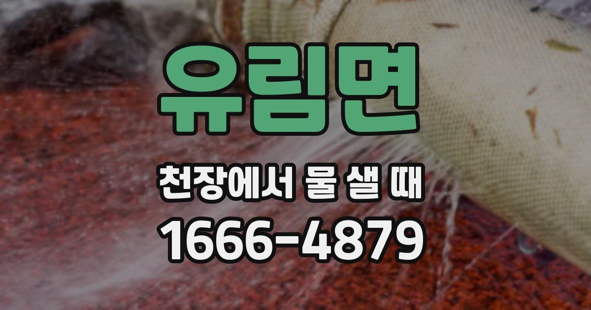 유림면 천장에서 물 샐 때
