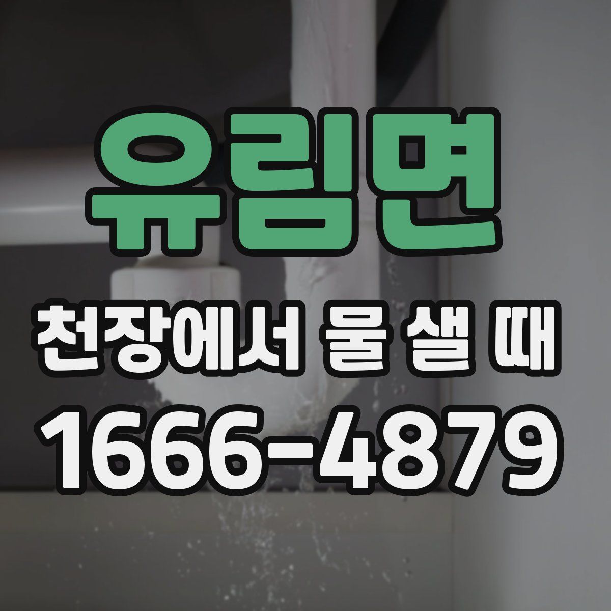 유림면 천장에서 물 샐 때