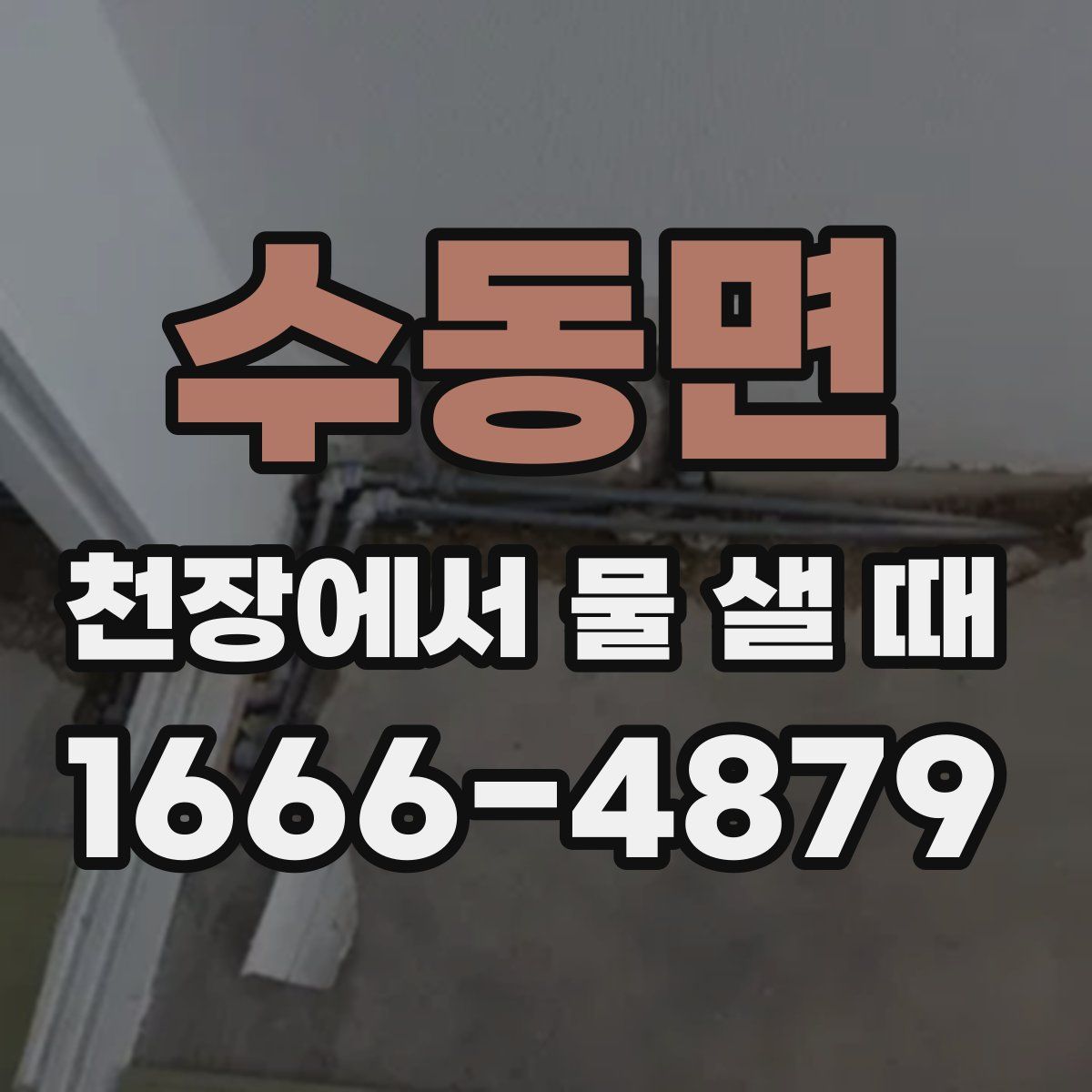 수동면 천장에서 물 샐 때