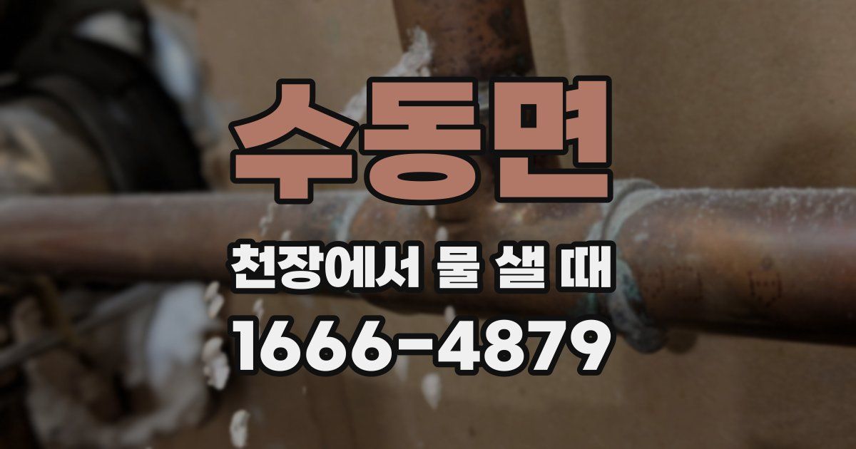 수동면 천장에서 물 샐 때