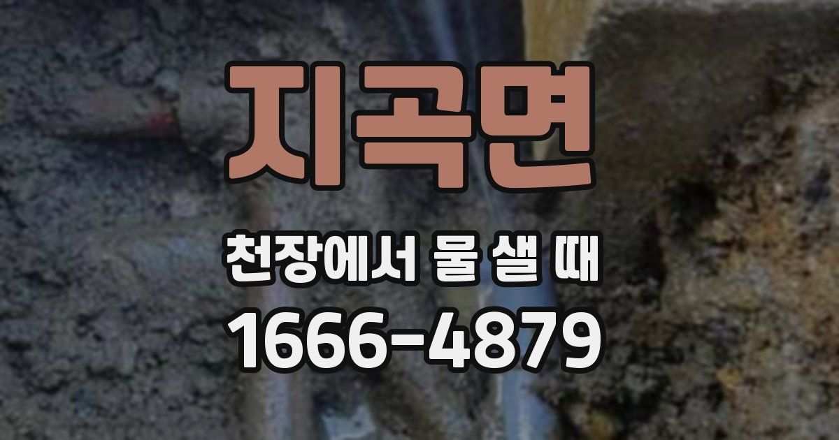 지곡면 천장에서 물 샐 때