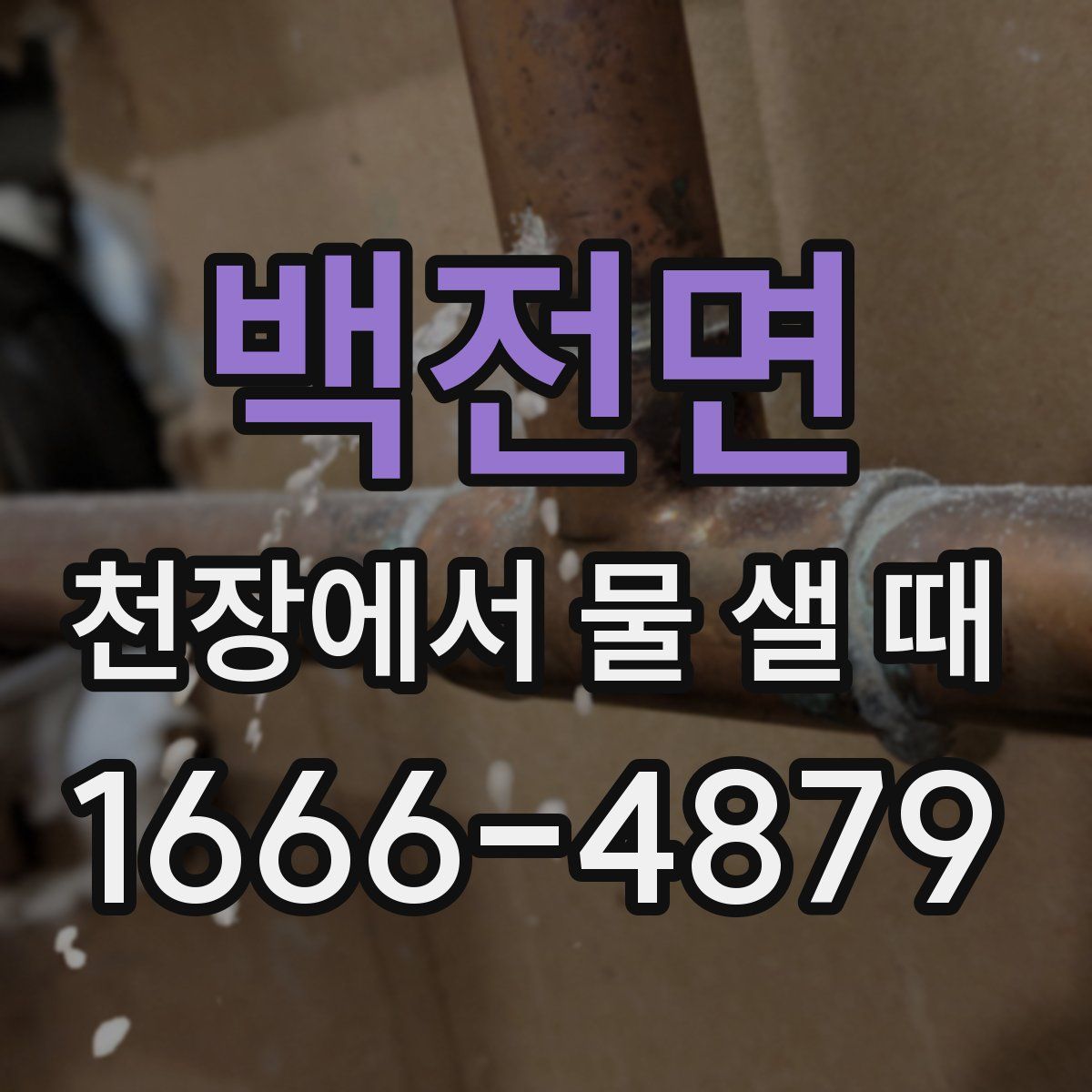 백전면 천장에서 물 샐 때