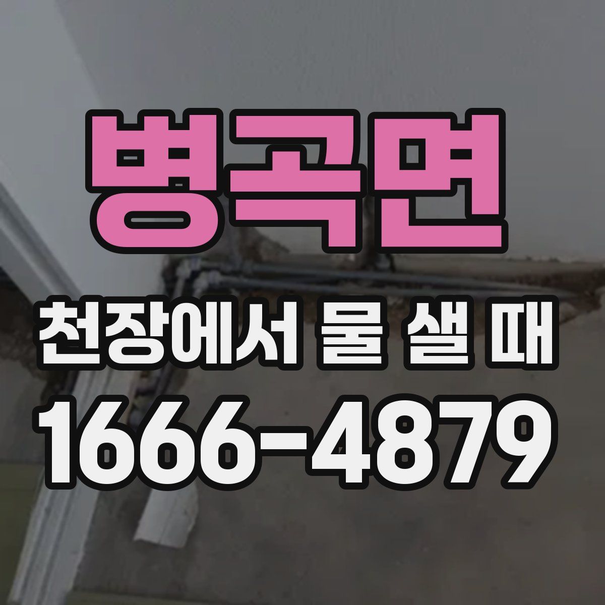 병곡면 천장에서 물 샐 때