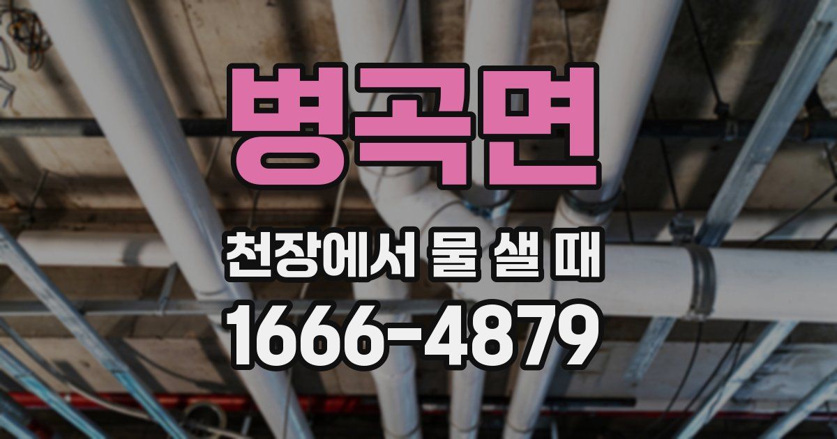 병곡면 천장에서 물 샐 때