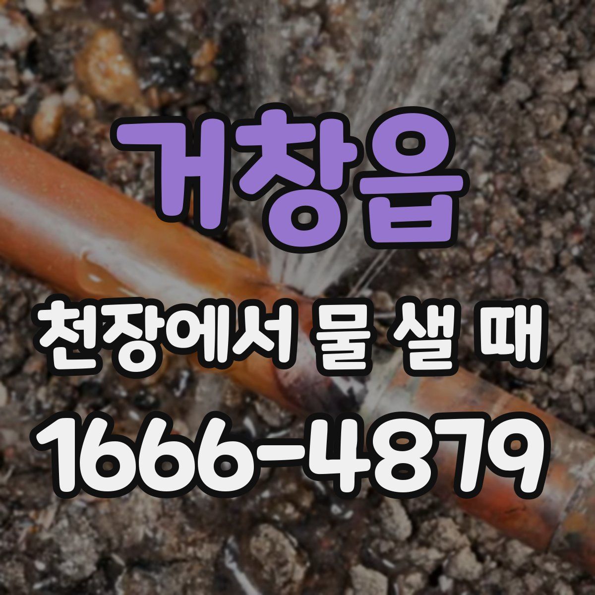 거창읍 천장에서 물 샐 때