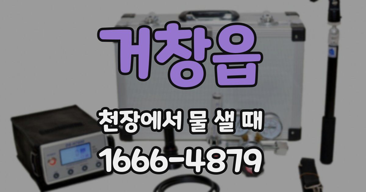 거창읍 천장에서 물 샐 때