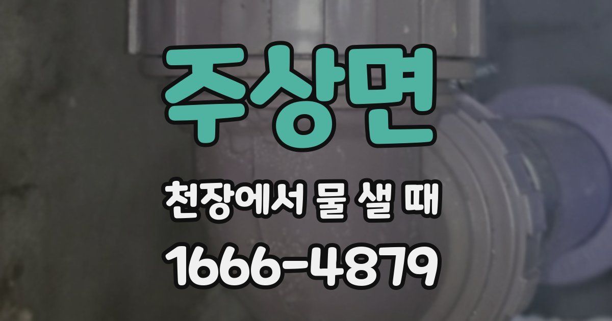 주상면 천장에서 물 샐 때