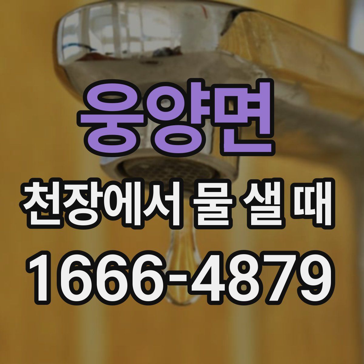 웅양면 천장에서 물 샐 때